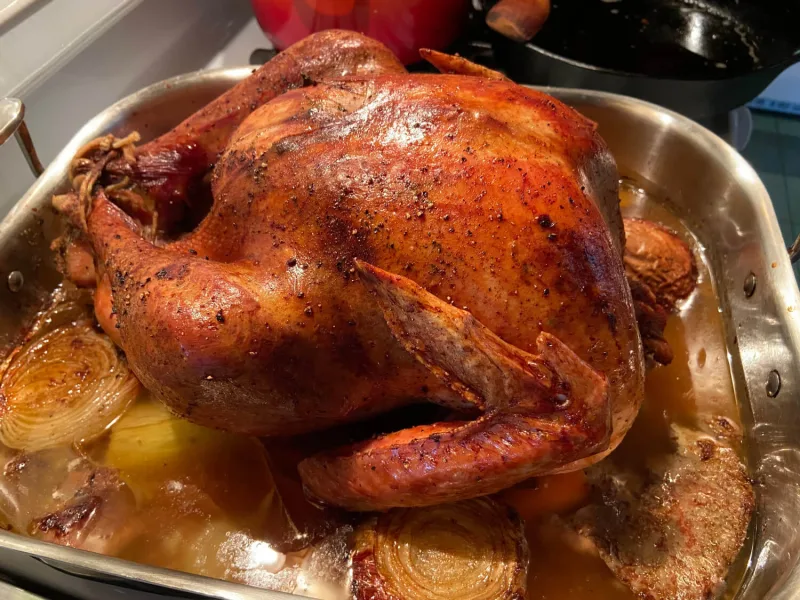 Are wild turkeys good to eat?